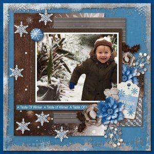 A Taste Of Winter