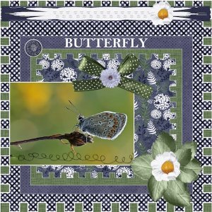 32th - January 2025 Use It All Challenge-Butterfly.jpg
