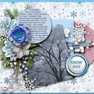 January 18 Snow Day