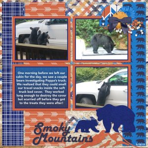 9-18-19bearssmall.jpg