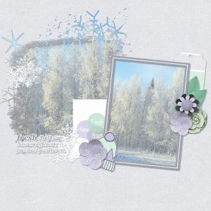 frosted calm.jpg
