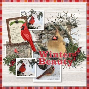 Winter Beauty - January 2026.jpg