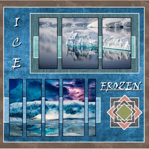 33th-Jan. 2026 Wild About Styles- Ice Frozen.jpg
