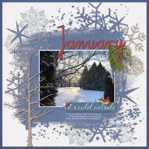 Pretty Snowy Moment 1-19-26