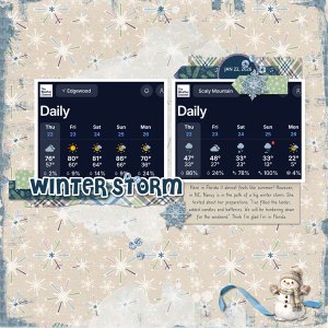 Winter Storm