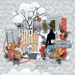 Neighborhood Walk