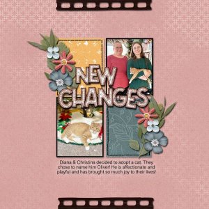 New Changes