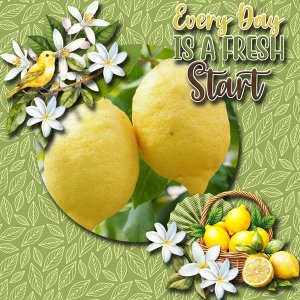 Everyday is a fresh start