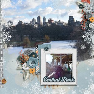 2026-01-04 Central Park 1
