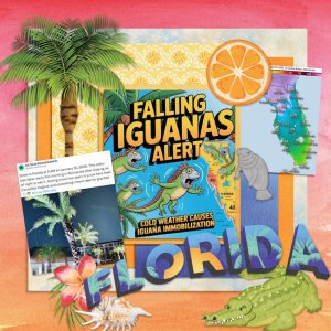 Falling-Iguanas-GS_LS_NewsletterHop2020.jpg