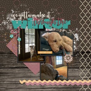 2025 12 01 Dogs cozy inside.jpg