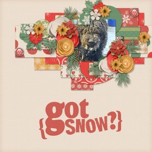 Got Snow?