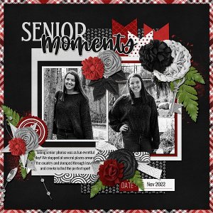 Senior Moments