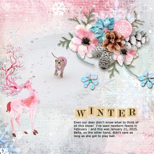 2025-01-21 winter
