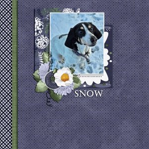 snow