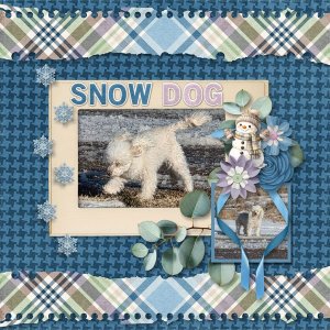 Snow Dog