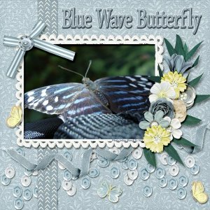 Blue Wave Butterfly small.jpg