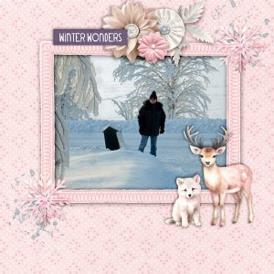 Winter-wonders.jpg