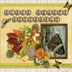 Dirce Beauty Butterfly small.jpg