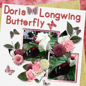 Doris Longwing Butterfly small.jpg