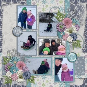 Snow Day-Let Me Scrapbook with Lotsa Photos 12 Temp #3-Let Me Scrapbook 600.jpg