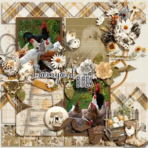 Barnyard Birds