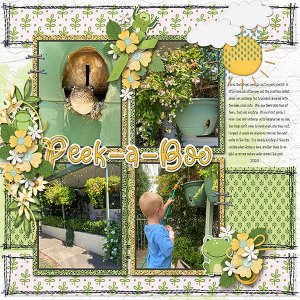 2026_01_Peek-a-Boo-webcopy.jpg