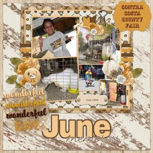 Contra Costa County Fair (June)