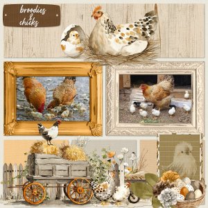 barnyard birds.jpg