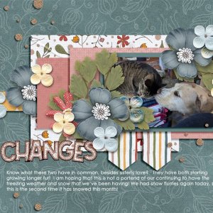 Changes