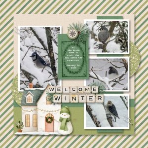 Welcome Winter - January 2026.jpg