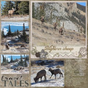 2026-01-Aimee_GreatExpedition_MFish_PhotoFantastic8_03.jpg