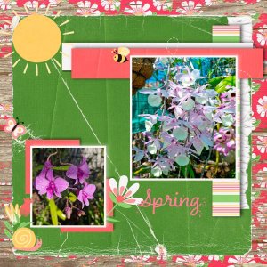 Spring