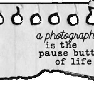 2026-02_signature_Aimee_ThroughTheLens.png