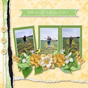 Brand New Day