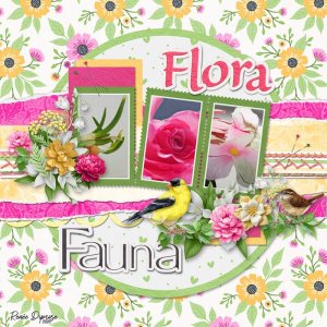 Flora and Fauna