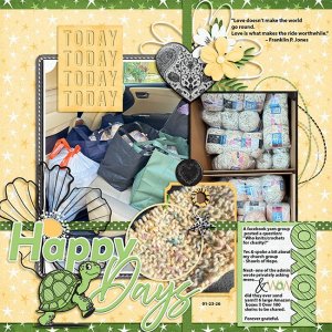 Yarn-donation-SCD-TT5-TP2-copy.jpg