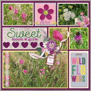 WildFlowers_ollitko_600.jpg