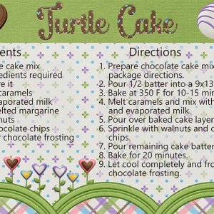 Turtle Cake.jpg