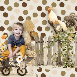 Barnyard Birds