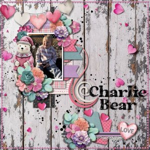 DLPatt_CharlieBear_web.jpg