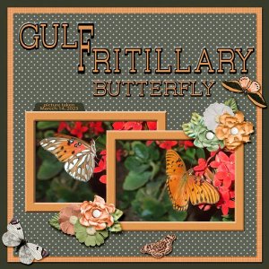 Gulf Fritillary Butterfly small.jpg