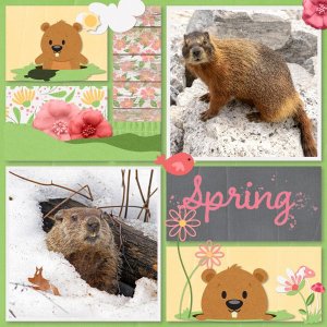 groundhog day.jpg
