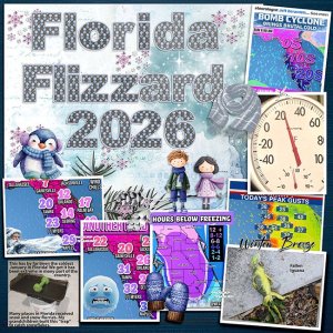 Florida-Flizzard-MFish_BigLittlePhotoStacks_01-copy.jpg
