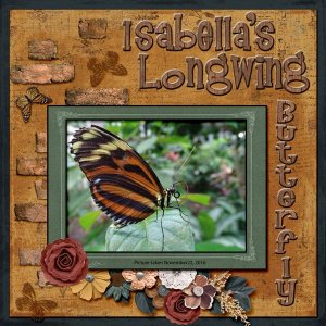 Isabella's Longwing Butterfly small1.jpg