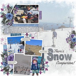 Snow-Comparison-webcopy.jpg