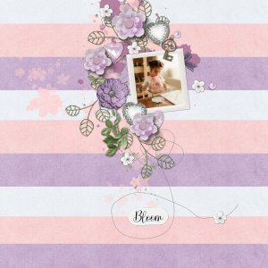 Bloom