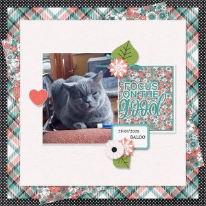 The bright side sampler