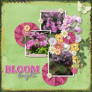 Bloom Bright