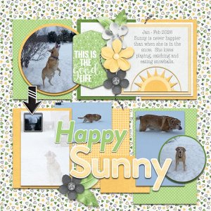 Happy Sunny